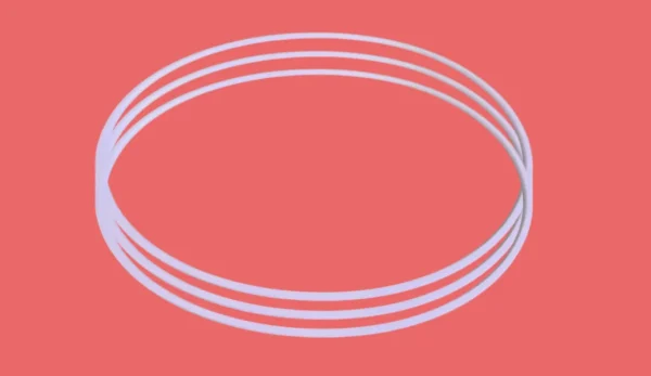Ring seal