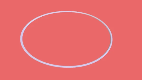 Ring Seal